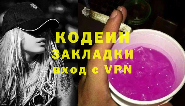 твердый Протвино